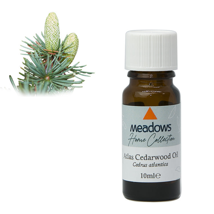 シダーウッド・アトラス HC – メドウズオンラインショップ（株式会社