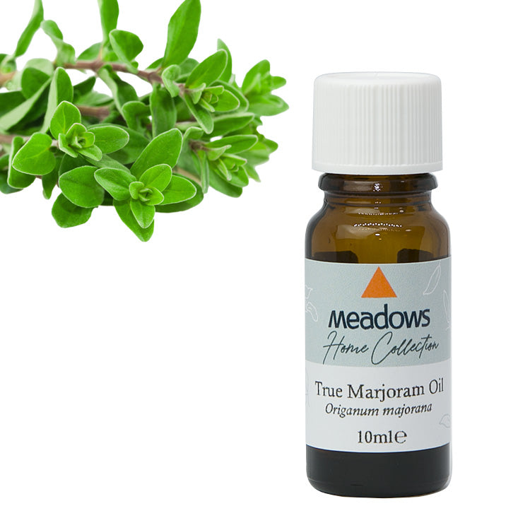 マジョラム・スイート HC – メドウズオンラインショップ（株式会社