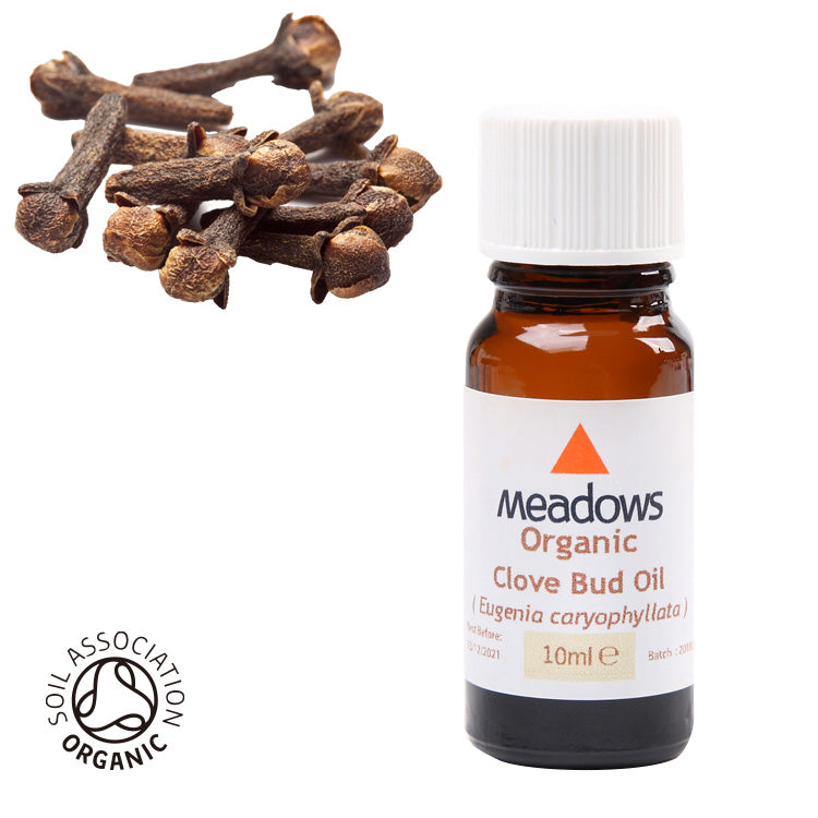 クローブ【在庫限り】 – メドウズオンラインショップ（株式会社