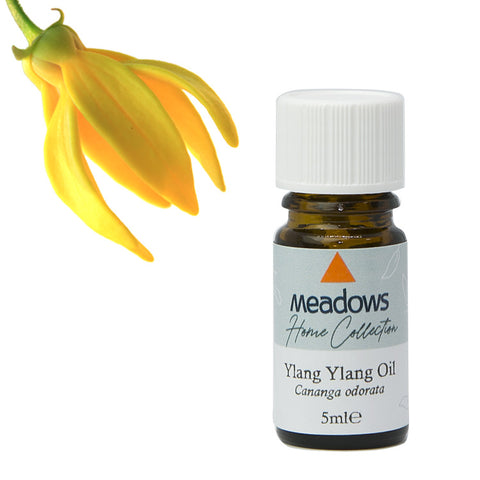 イランイラン・エクストラ HC