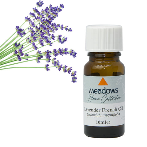 ラベンダー・真正 HC