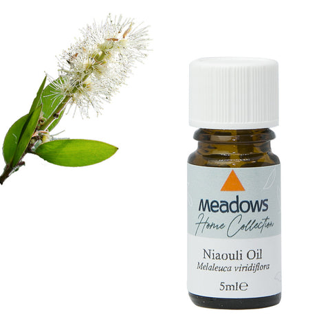 ニアウリ・シネオール HC