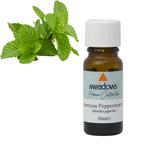 ペパーミント  HC