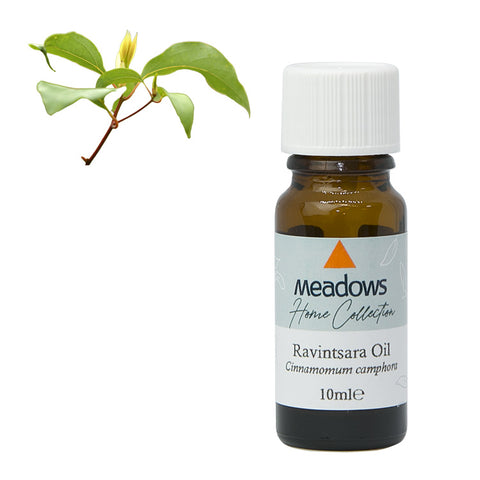 ラヴィンツァラ HC