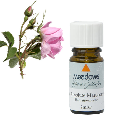 ローズ・アブソリュート HC