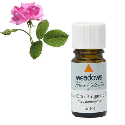 ローズオットー・ブルガリア HC