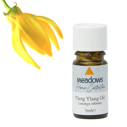 イランイラン・エクストラ HC