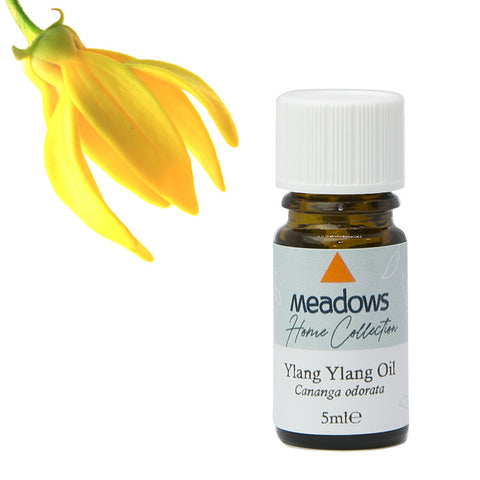 イランイラン・エクストラ HC