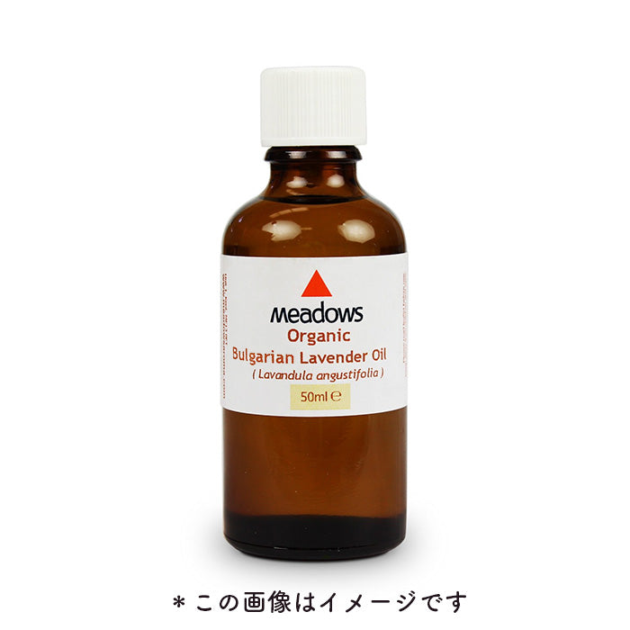 ヘリクリサム(イモーテル) – メドウズオンラインショップ（株式会社